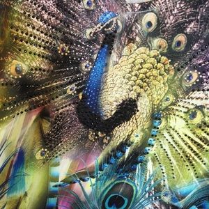 Peacock tunic with sparkling crystals on front